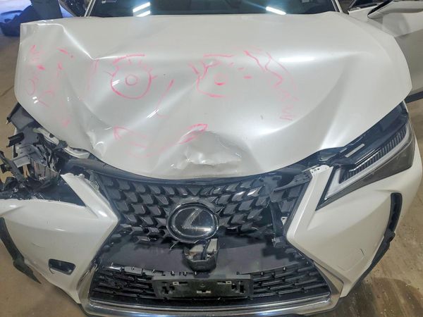 2024 LEXUS UX 250H 250h Premium — Engine bay