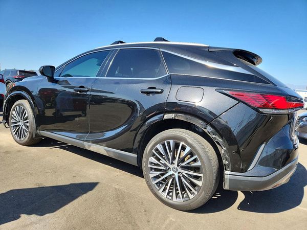 2024 LEXUS RX 350H — DSRA