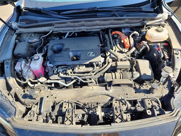 2024 LEXUS RX 350H — Engine bay