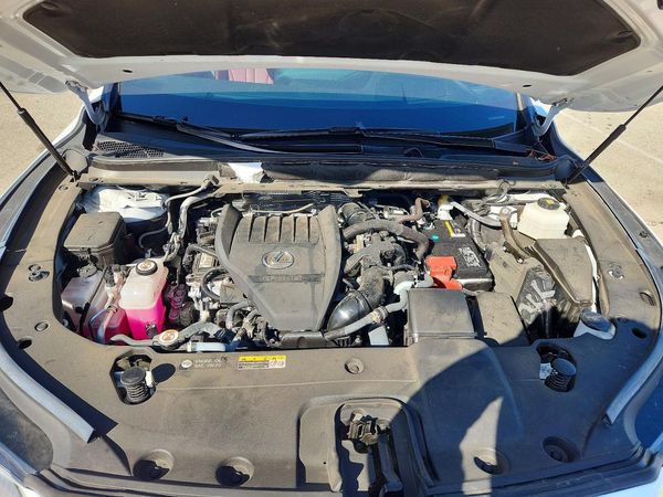 2024 LEXUS RX350 350 — Engine bay