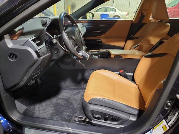 2022 LEXUS ES 250 250 Premium — DENT
