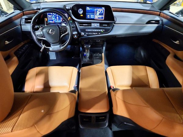 2022 LEXUS ES 250 250 Premium — CKPT