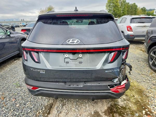 2023 HYUNDAI TUCSON Blue — DIRR