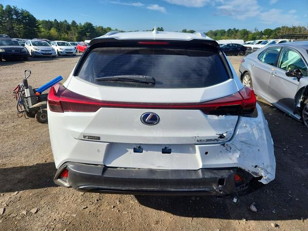2019 LEXUS UX — DIRR