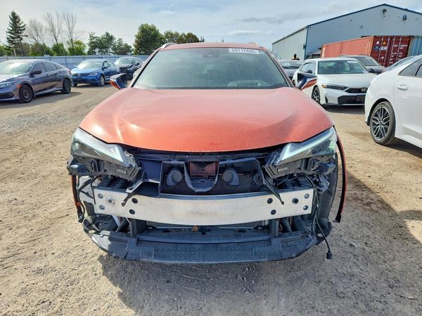 2024 LEXUS UX 250h Luxury — DIRF