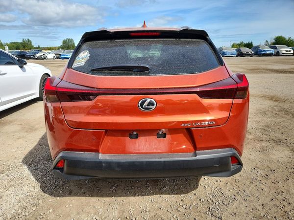 2024 LEXUS UX 250h Luxury — DIRR