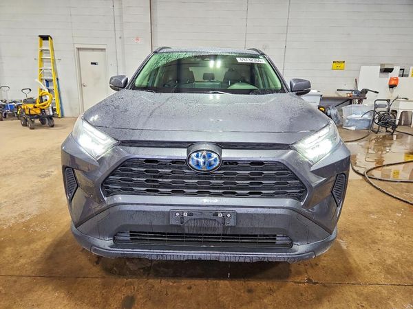 2023 TOYOTA RAV4 XLE — DIRF