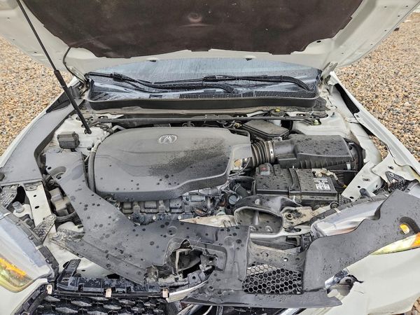 2019 ACURA TLX — Engine bay