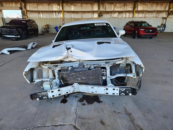 2017 DODGE CHALLENGER — DIRF
