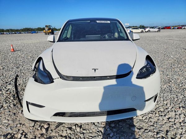 2025 TESLA MODEL Y — DIRF