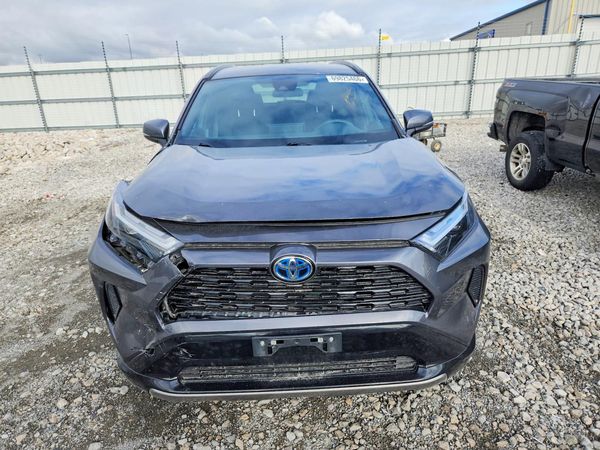 2024 TOYOTA RAV4 SE — DIRF