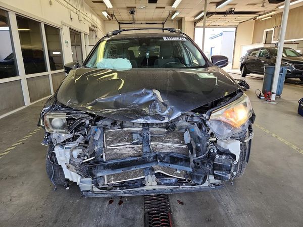 2018 TOYOTA RAV4 LE Plus/XLE — DIRF