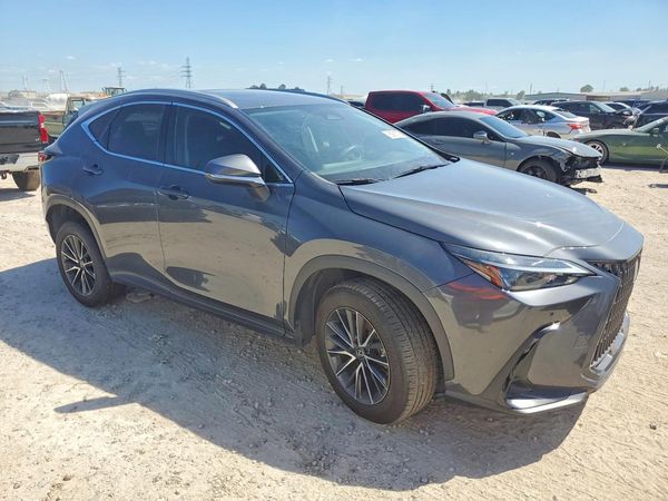 2024 LEXUS NX — Passenger 3/4