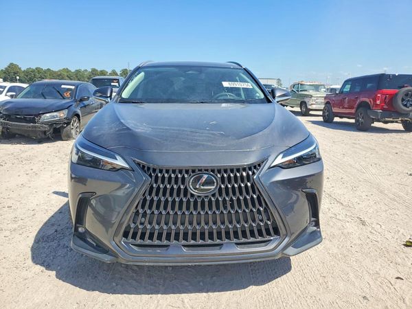 2024 LEXUS NX — DIRF