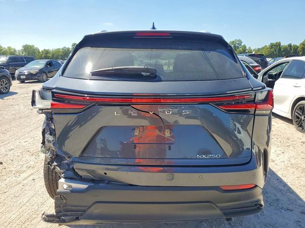 2024 LEXUS NX — DIRR