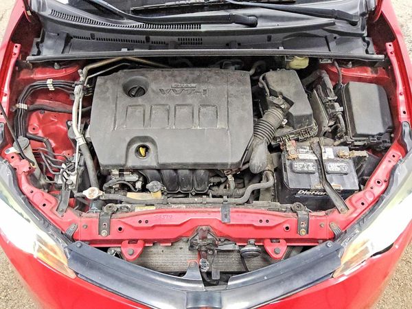 2019 TOYOTA COROLLA L/LE/SE/XLE/XSE — Engine bay