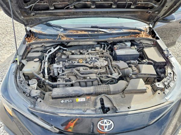 2021 TOYOTA COROLLA SE, CVT,  w/Premium pkg — Engine bay