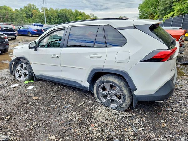 2024 TOYOTA RAV4 XLE — DSRA
