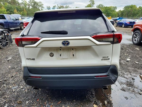 2024 TOYOTA RAV4 XLE — DIRR