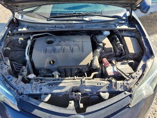 2019 TOYOTA COROLLA L/LE/SE/XLE/XSE — Engine bay
