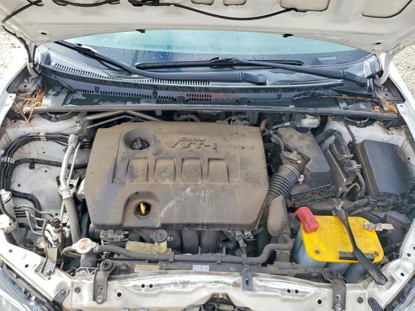 2019 TOYOTA COROLLA L/LE/SE/XLE/XSE — Engine bay