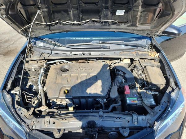 2019 TOYOTA COROLLA L/LE/SE/XLE/XSE — Engine bay