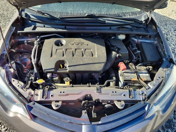 2016 TOYOTA COROLLA L/LE — Engine bay