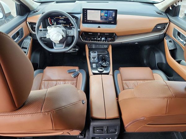 2025 NISSAN ROGUE PLATINUM — CKPT