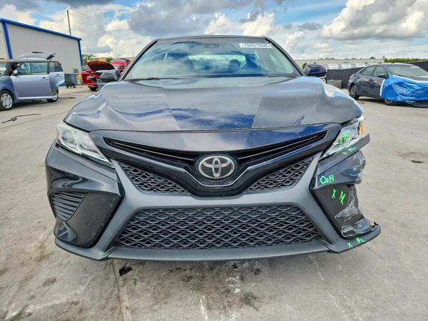 2019 TOYOTA CAMRY L/LE/SE/XLE — DIRF