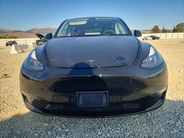 2024 TESLA MODEL Y — DIRF