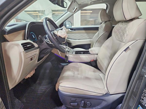 2022 HYUNDAI PALISADE Caligraphy — DENT