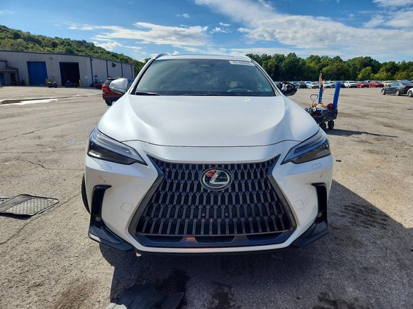 2024 LEXUS NX 350 Luxury — DIRF