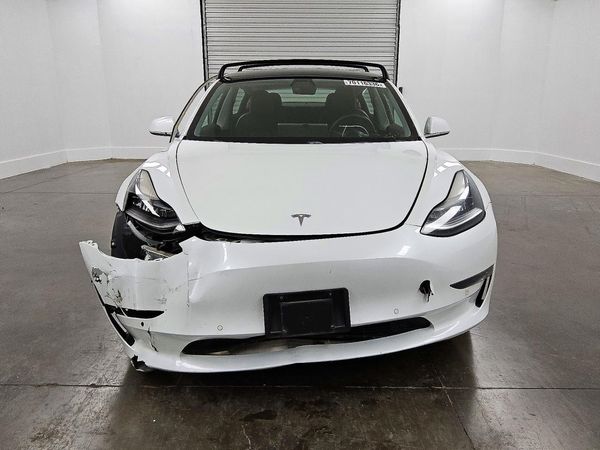 2019 TESLA MODEL 3 — DIRF