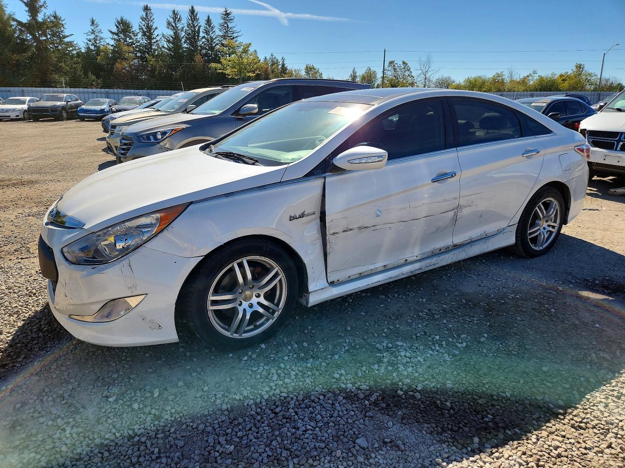 2013 HYUNDAI SONATA Hybrid / Hybrid Limited — Front 3/4