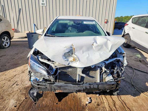 2019 TOYOTA COROLLA L/LE/SE/XLE/XSE — DIRF