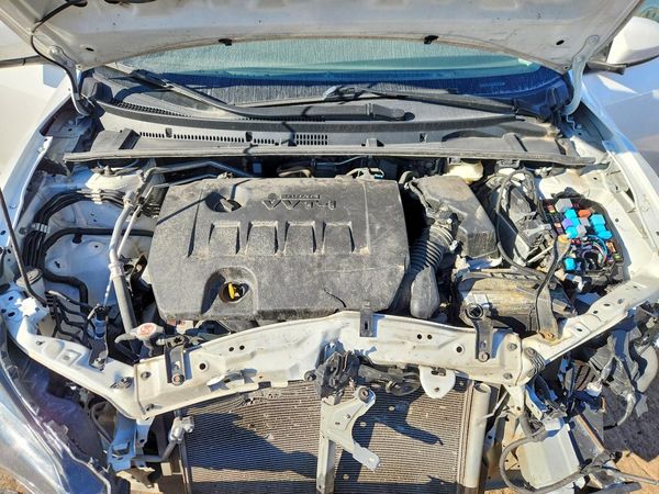 2019 TOYOTA COROLLA L/LE/SE/XLE/XSE — Engine bay