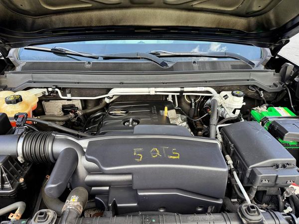 2019 CHEVROLET COLORADO Work Truck