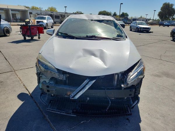 2019 TOYOTA COROLLA L/LE/SE/XLE/XSE — DIRF