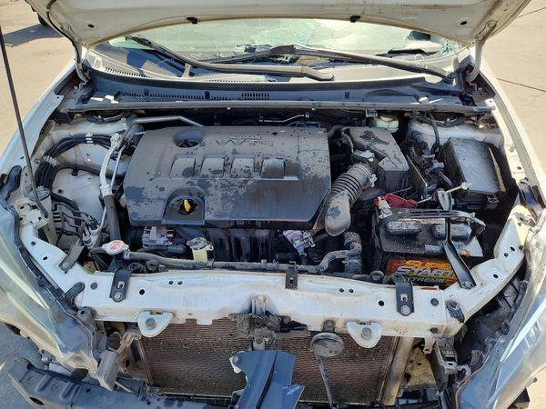 2019 TOYOTA COROLLA L/LE/SE/XLE/XSE — Engine bay