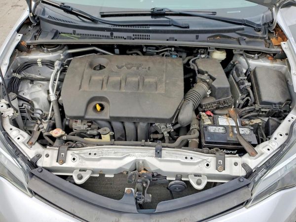 2019 TOYOTA COROLLA L/LE/SE/XLE/XSE — Engine bay