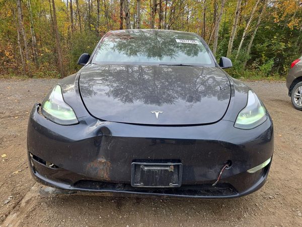 2024 TESLA MODEL Y — DIRF