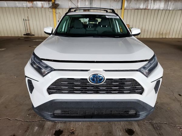 2024 TOYOTA RAV4 XLE — DIRF