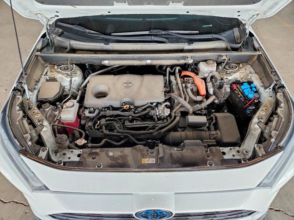 2024 TOYOTA RAV4 XLE — Engine bay