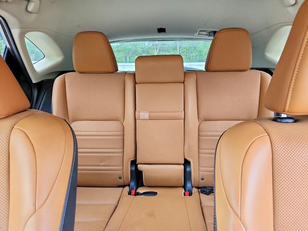 2018 LEXUS NX 300 300 Luxury — SUVN