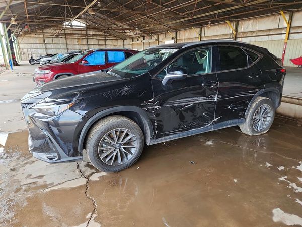 2026 LEXUS NX 350 — DSFA — Front 3/4