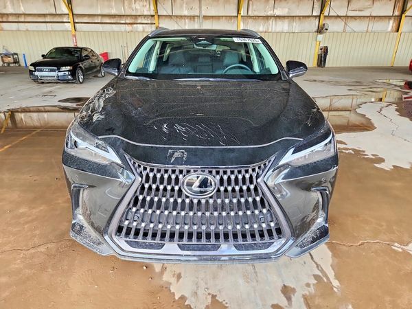 2026 LEXUS NX 350 350 Base — DIRF