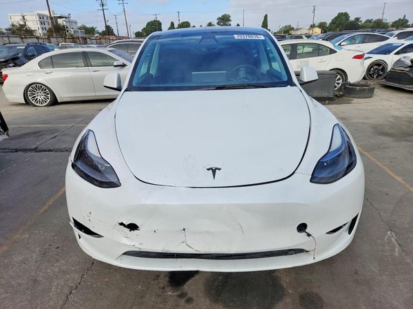 2024 TESLA MODEL Y — DIRF