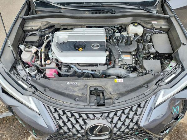 2024 LEXUS UX 250H 250h Premium — Engine bay