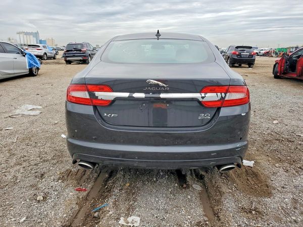 2015 JAGUAR XF Sport & Portfolio — DIRR