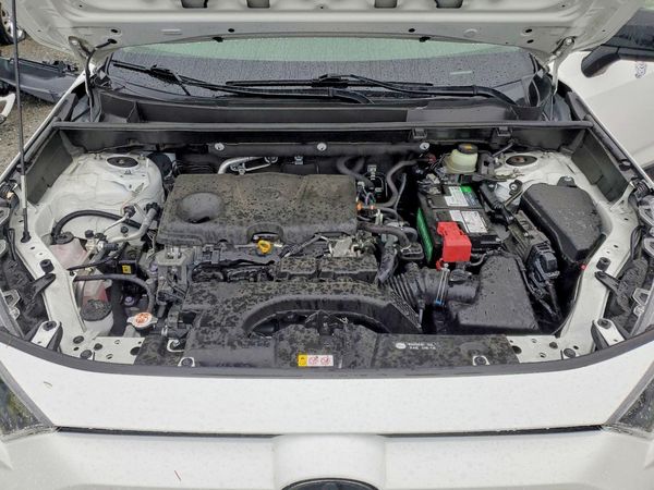 2019 TOYOTA RAV4 LE — Engine bay